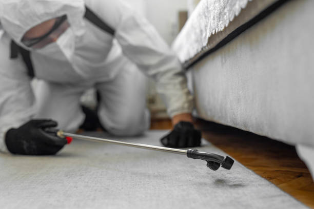 Professional Termite Control technician working in Marshall, WI