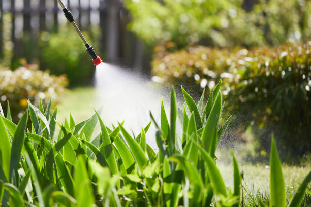 24/7 Emergency Termite Control experts in Marshall, WI