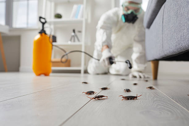 Trusted Fumigation Services service in Marshall, WI - Nex Pest Control