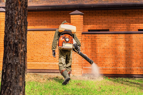 Trusted Rodent Control service in Marshall, WI - Nex Pest Control